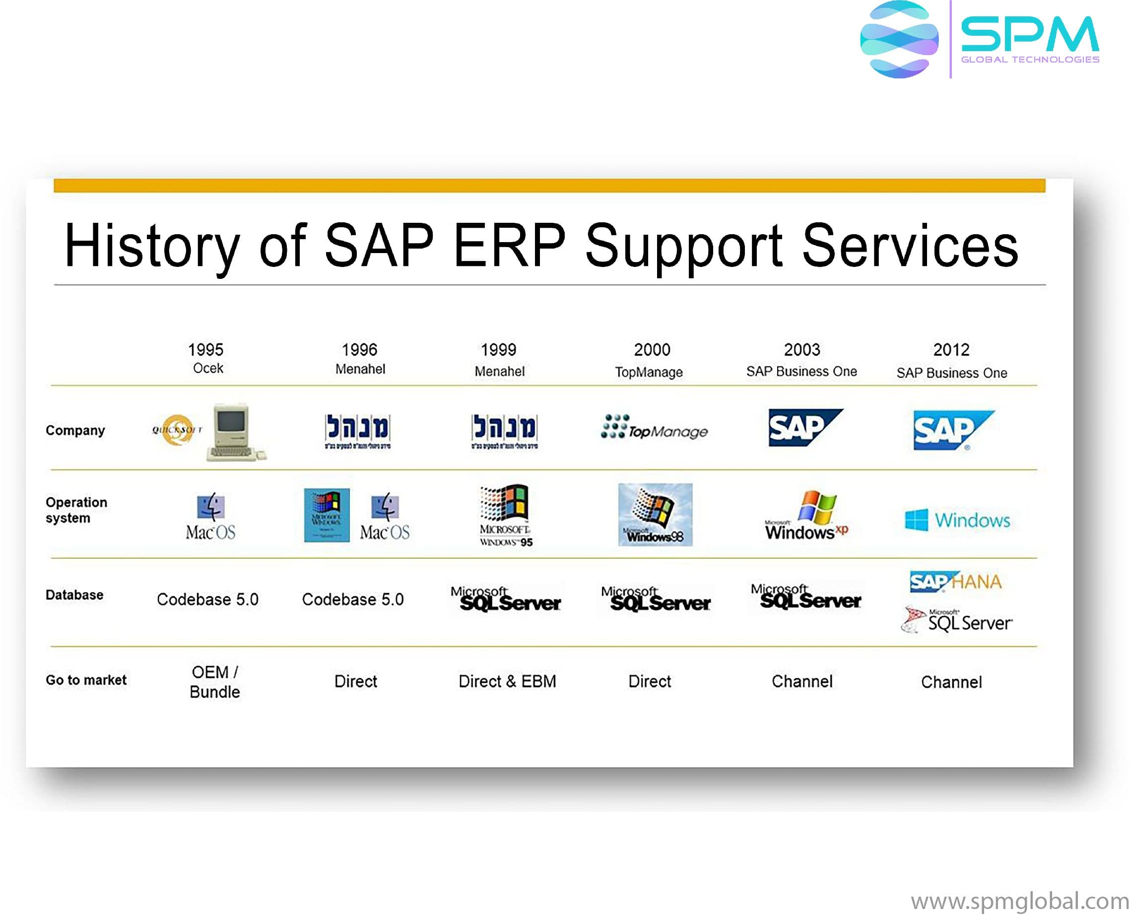 SAP ERP Managed Services