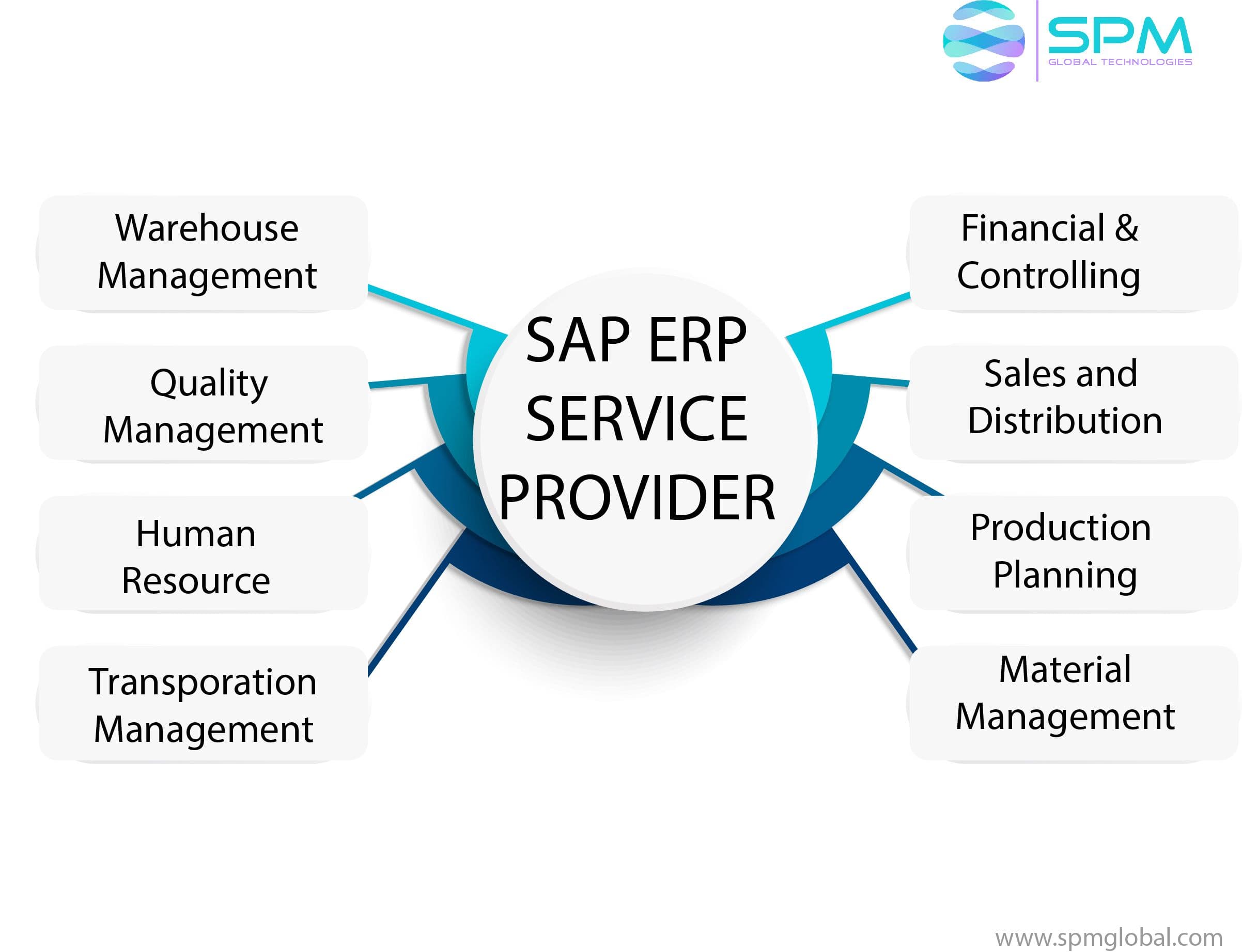 SAP ERP Consultants 